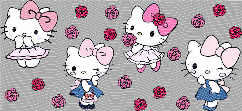 16oz Sanrio-K 107